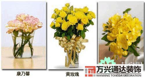 养花风水禁忌室内养花与摆放风水禁忌