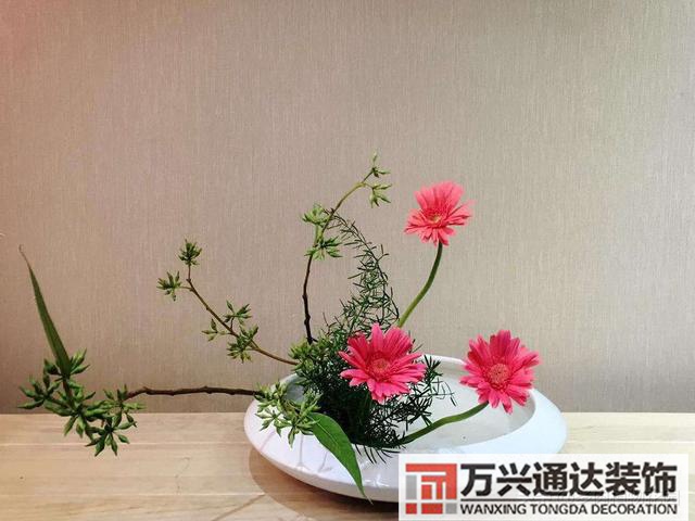盆栽摆放风水家里盆景摆放风水