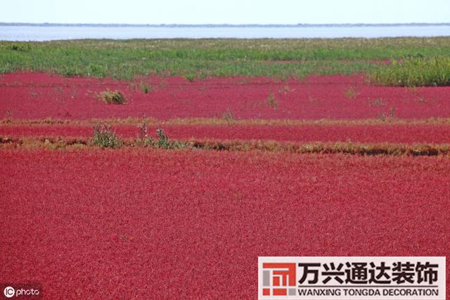 张学良风水