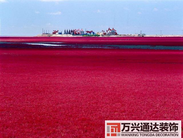 张学良风水