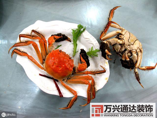 张学良风水张学良风水说